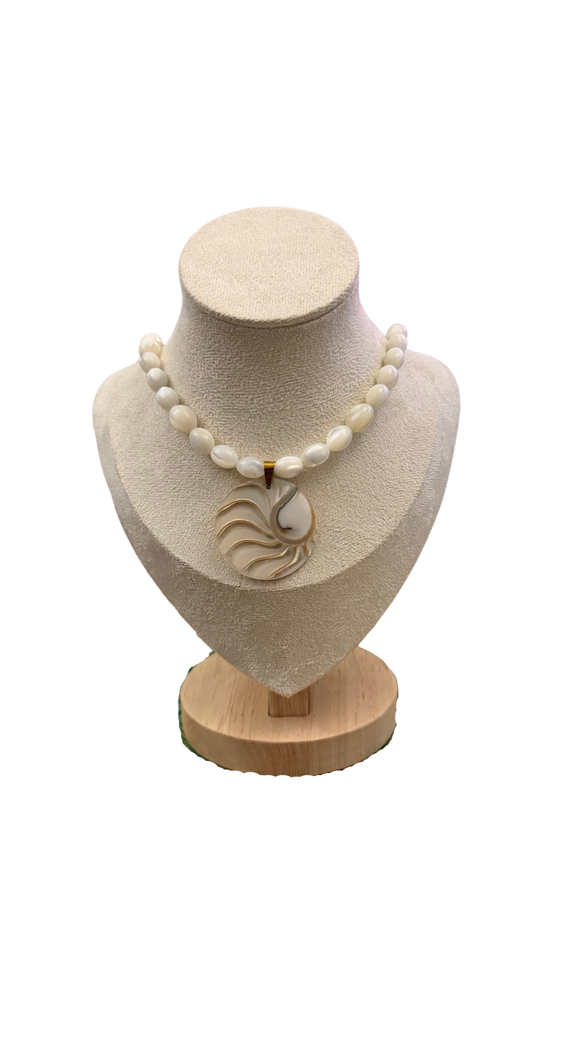 White Mother Of Pearl Nautilus Necklace