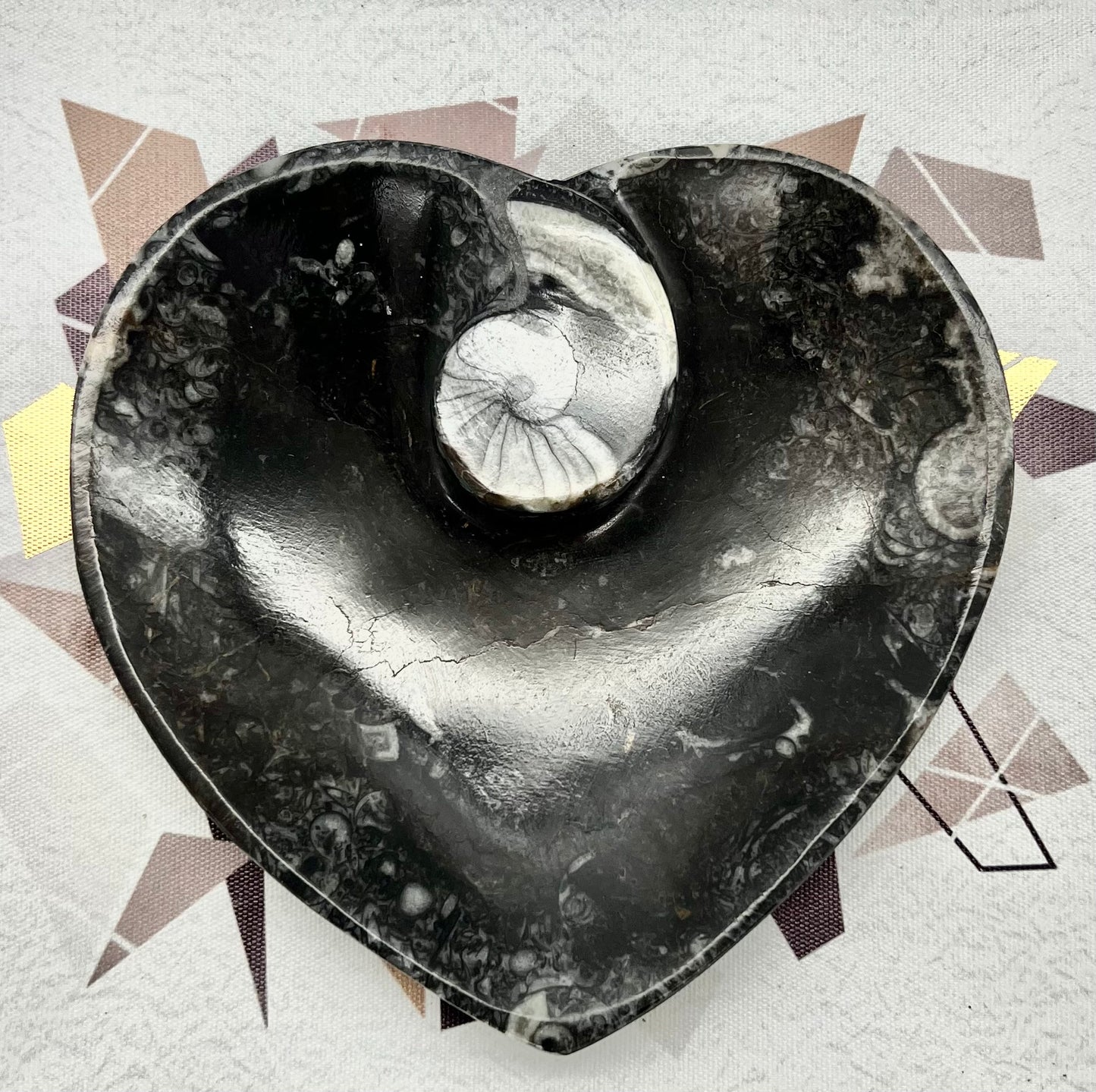 Orthoceras Fossil Heart Bowl