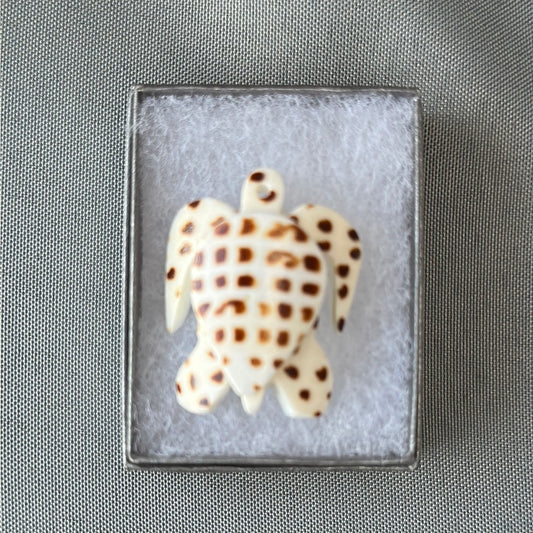 Turtle - Shell