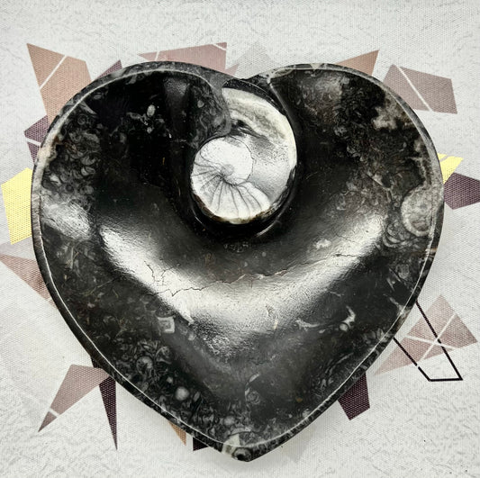 Orthoceras Fossil Heart Bowl